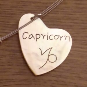 Horoscope Capricorn Zodiac Sign Heart Silver 17" Necklaces NWT Lot of 2 t